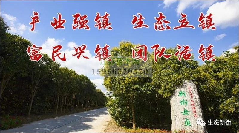 中央电视台专题报道江苏东台新街苗木产业转型发展