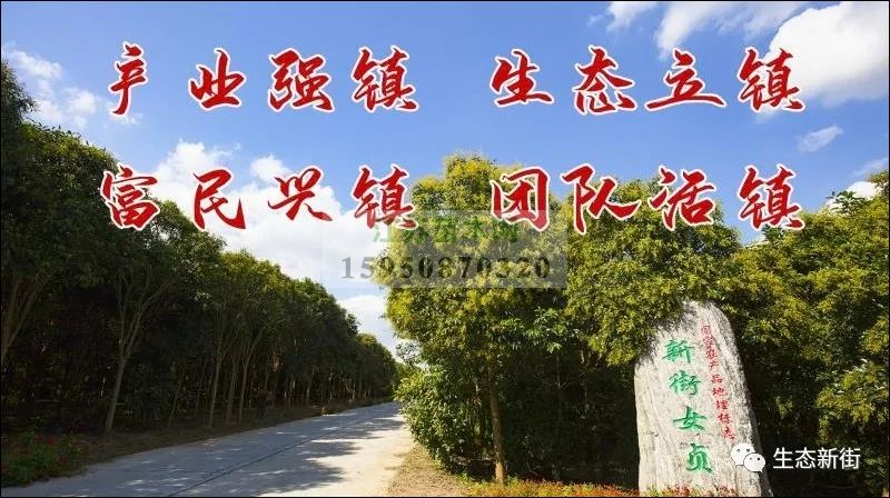 批发园林绿化苗木